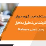 malware analysis expert