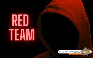 Red Teaming