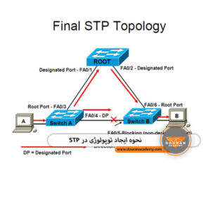 توپولوژی در STP