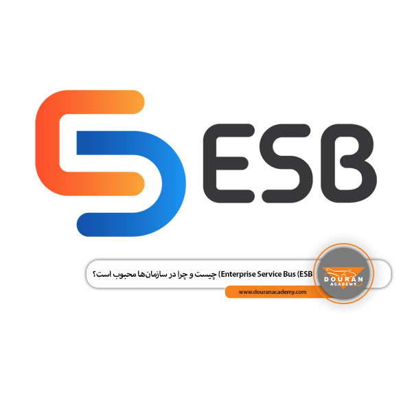 ESB چیست