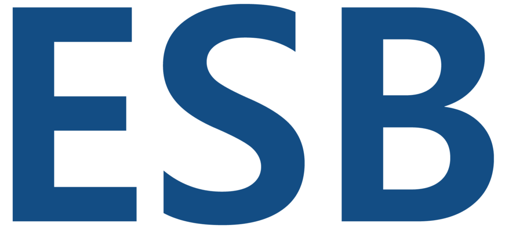 ESB چیست